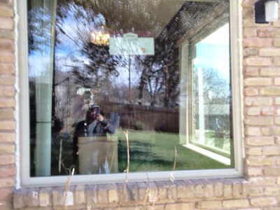 Window Replacement Project